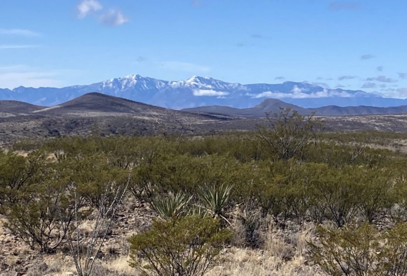 Tombstone Ranch