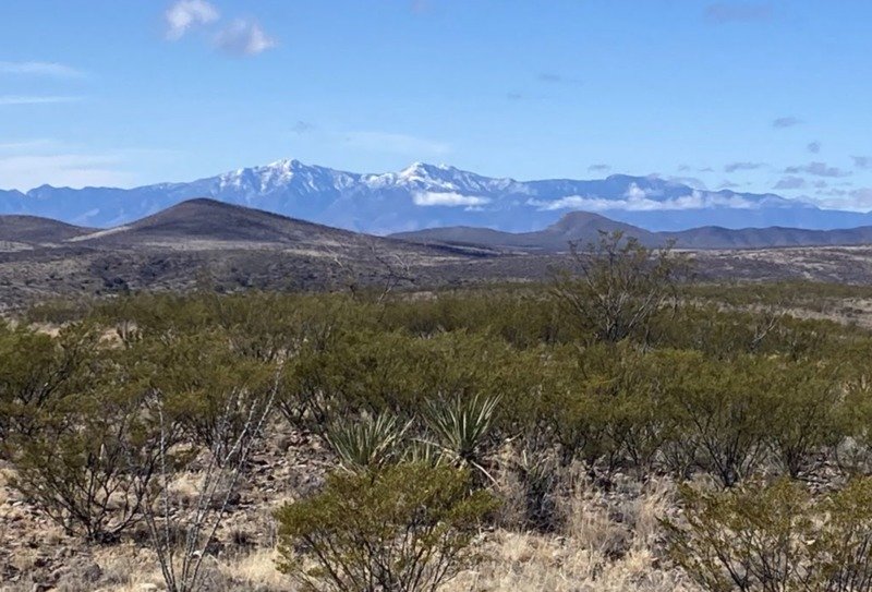 Tombstone Ranch