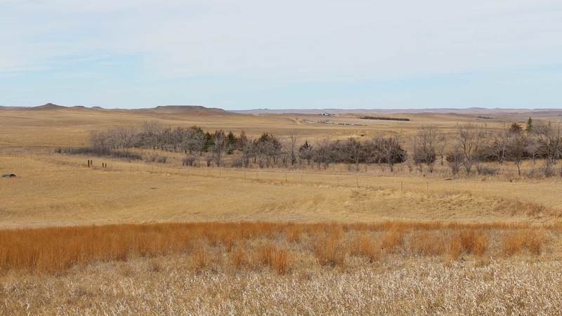 Bakke Road Hunting Property