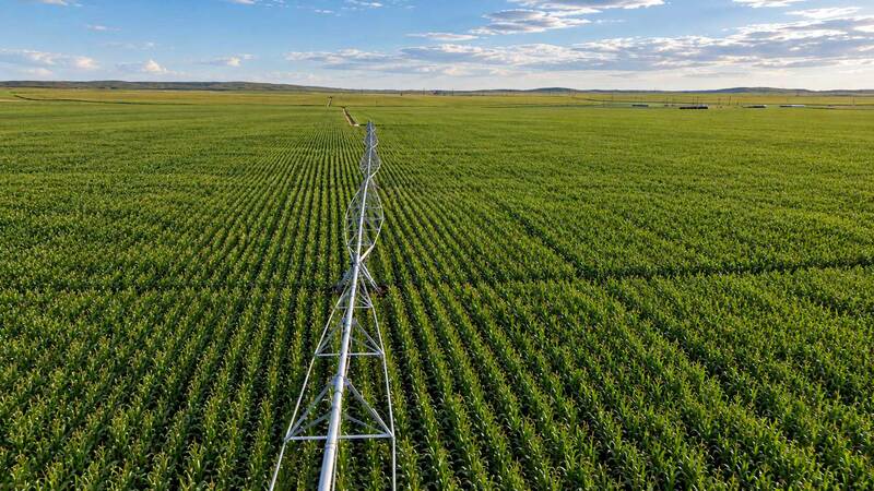 Graham Farms - Yuma County, Colorado