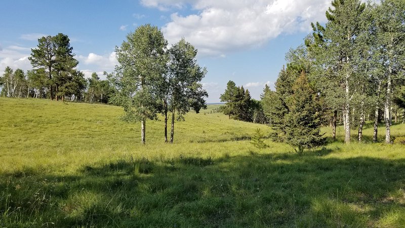 South Ute Pass Ranch