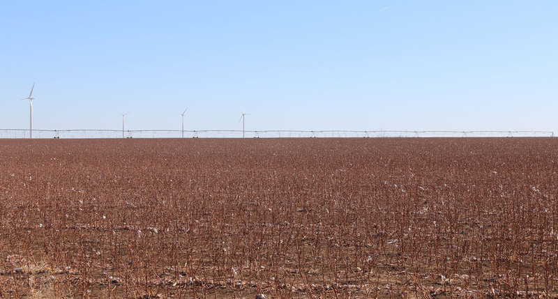 Moore County Irrigated Farm