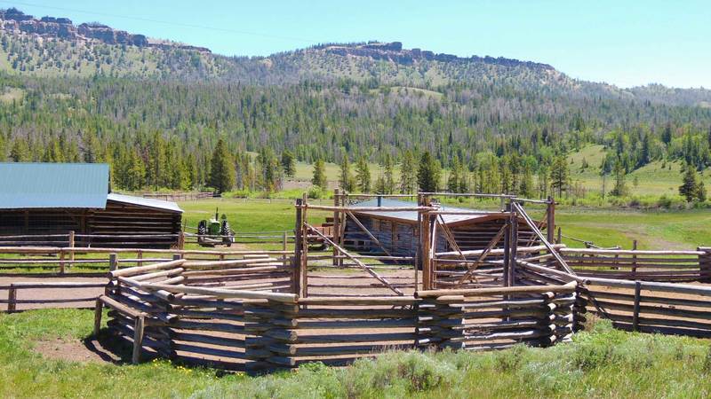 T Cross Ranch