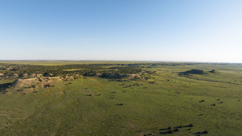 Y4 Ranch