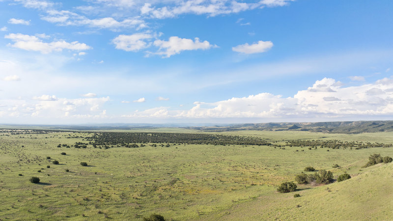 Y4 Ranch