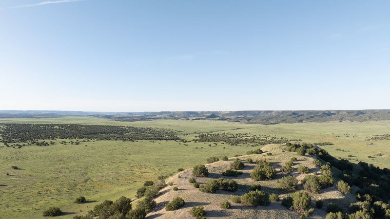 Y4 Ranch