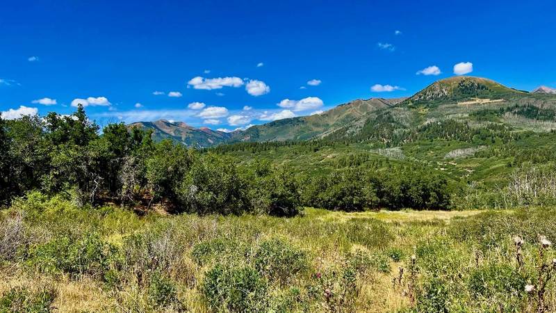 Big Stick Ranch