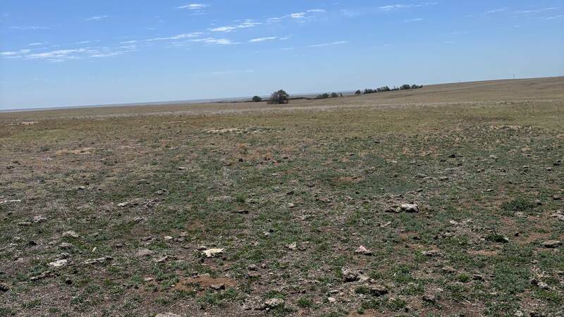Cordova Ranch