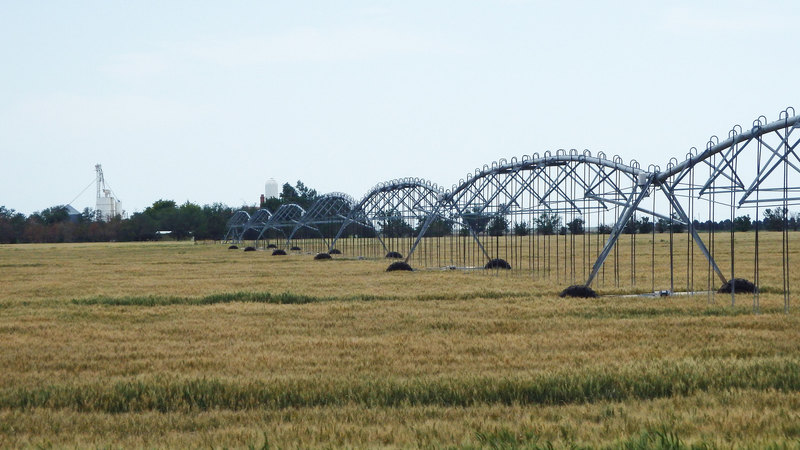 Oklahoma Grounds Farm & Feedlot