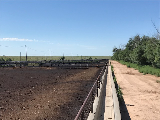 Kehoe Feedlot