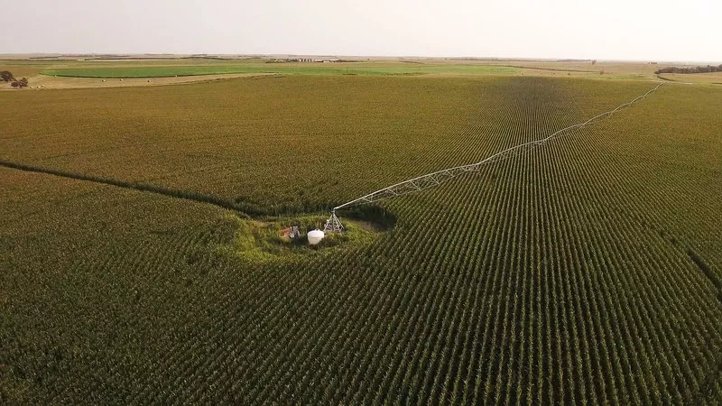 David Farms