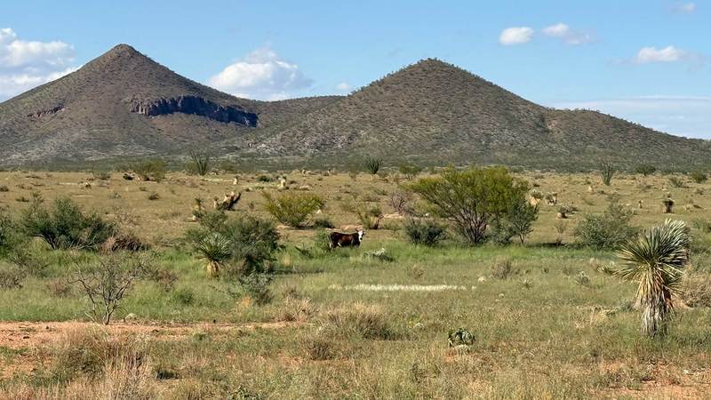 Tombstone Ranch