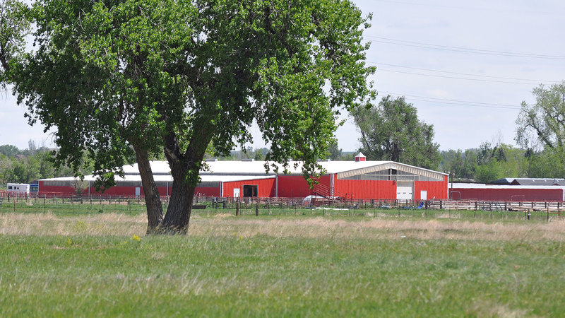 Mountain View Stables and Arena