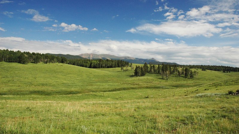 Ute Pass Ranch