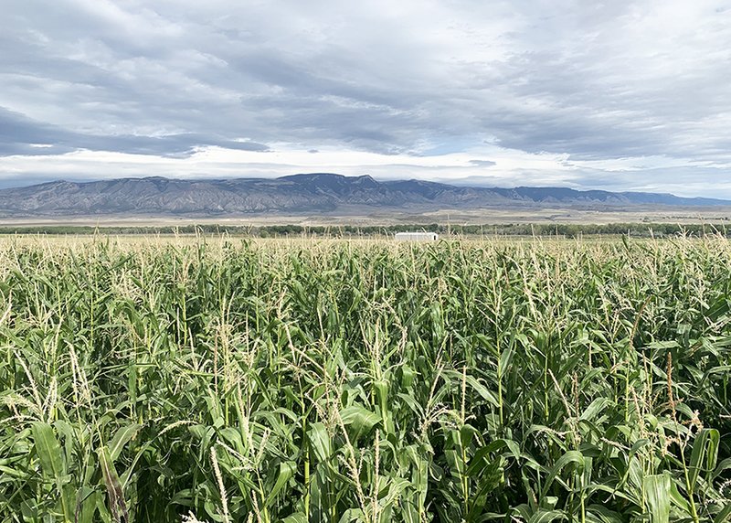 Bighorn River Ranch