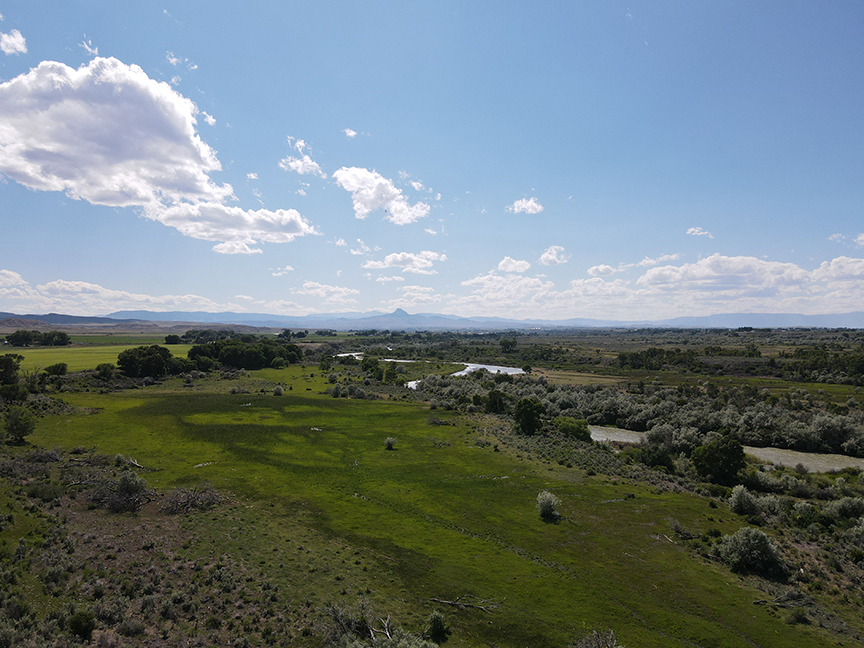 Shoshone River Farm, Powell Wyoming, Park County