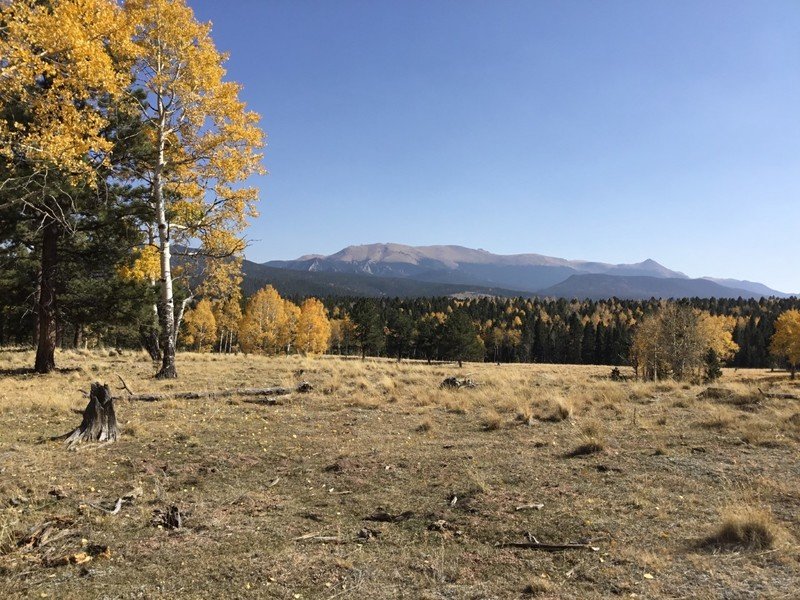 Southern Ute Trail Ranch