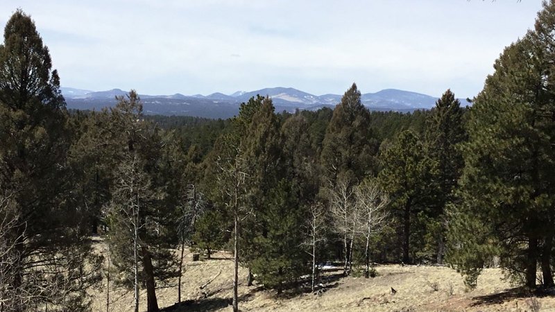 NW Ute Pass Ranch Parcel B