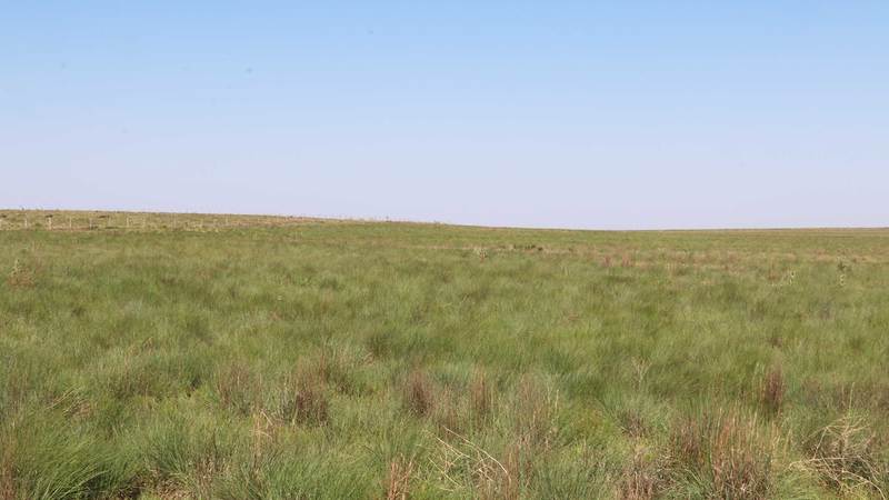 Texas County CRP Property