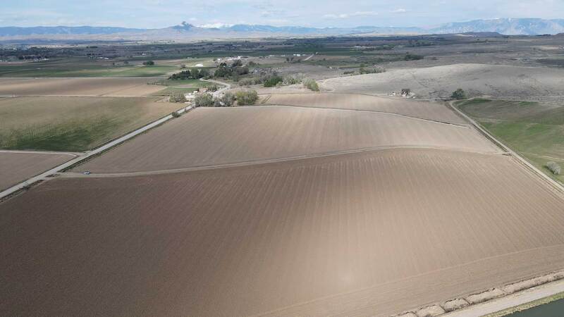 Ando Farms