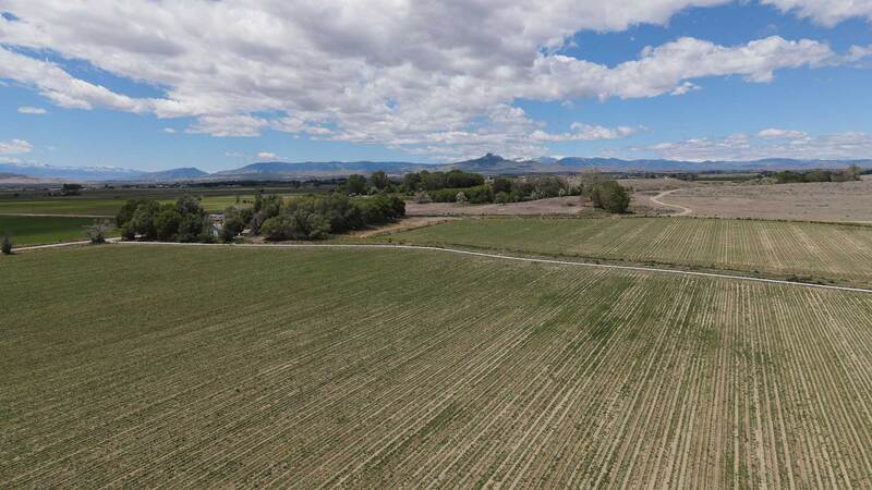 Ando Farms