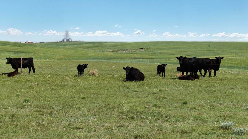 Wright Ranch