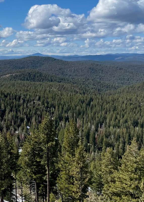 Major Price Reduction: Explore the Opportunity of Ochoco Ranch a Central Oregon Investment Opportunity