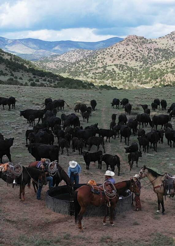 $6 Million Price Reduction Creates a Rare Colorado Ranch Opportunity