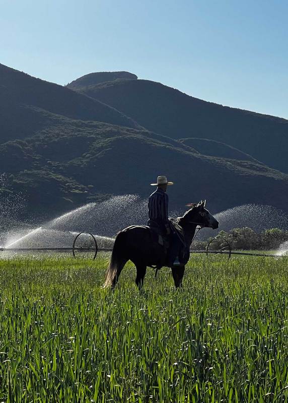 Why Buying Land, Farms, and Ranches Is a Smart Investment