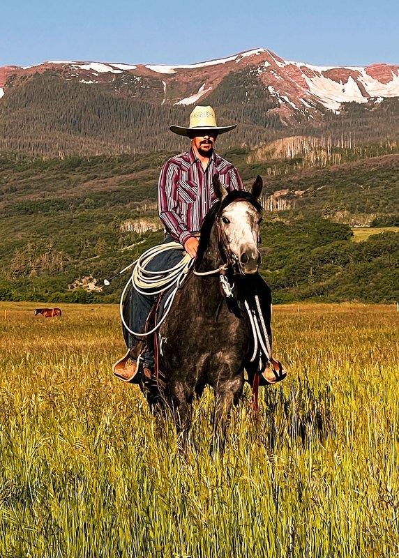 The Ranch Company Agent Featured in CSU Legends of Ranching Horse Sale 2026