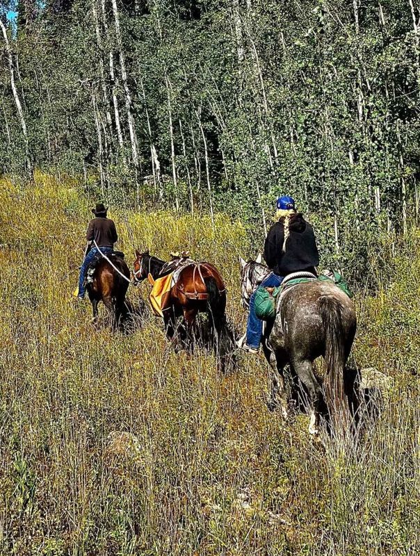 Perspective; Hunting Season Offers Opportunity For Reflection in the Saddle