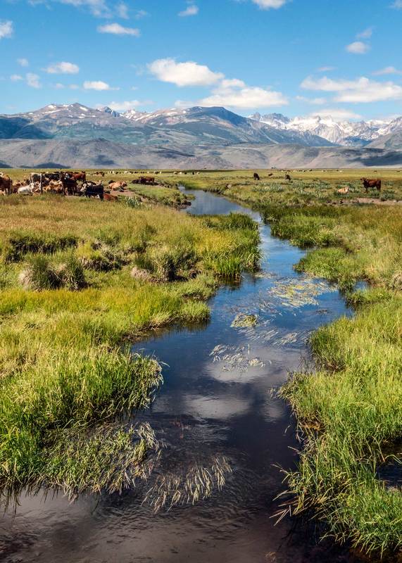 Why Spring Is One of the Best Times to Buy a Ranch