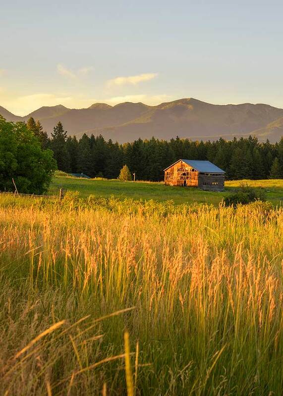 Conservation Easements, Ranching and the Legacy of Western Stewardship