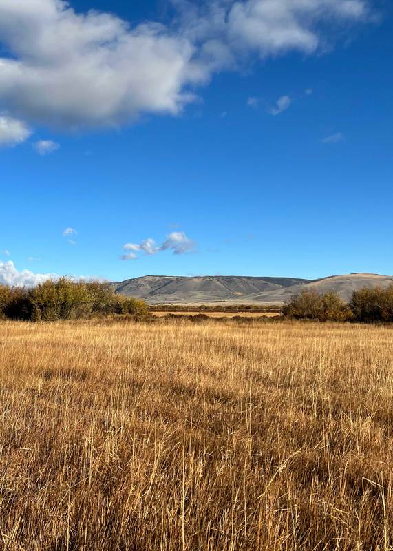 Farm Ranch Lands in Wyoming Montana 