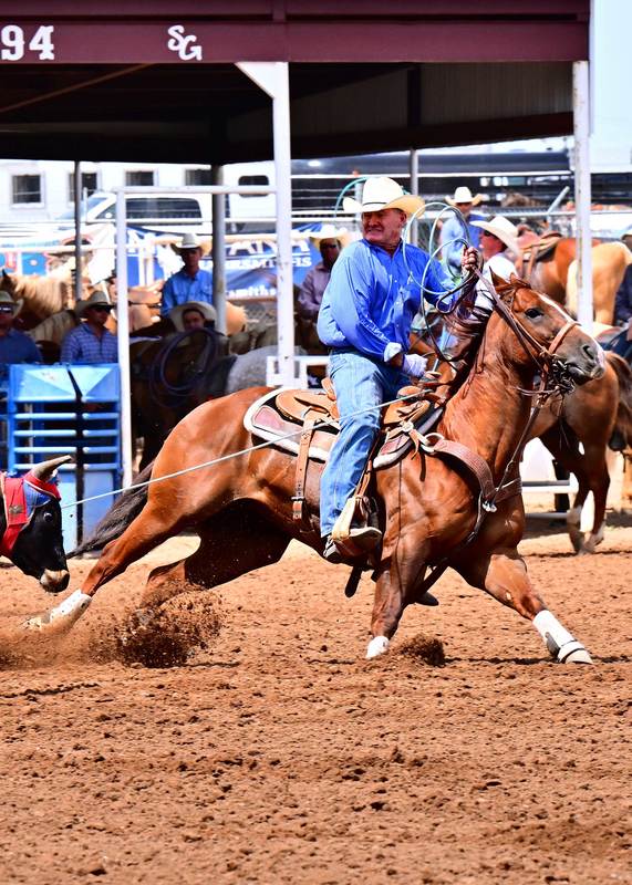 Ranch Company Rides into the ARHFA World Championship Rope Horse Futurity Amarillo, Texas 