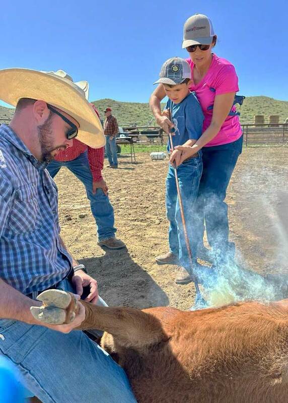 Powell Wyoming Ranches, Farms, and Land: Local Expertise from Jacque Zurcher