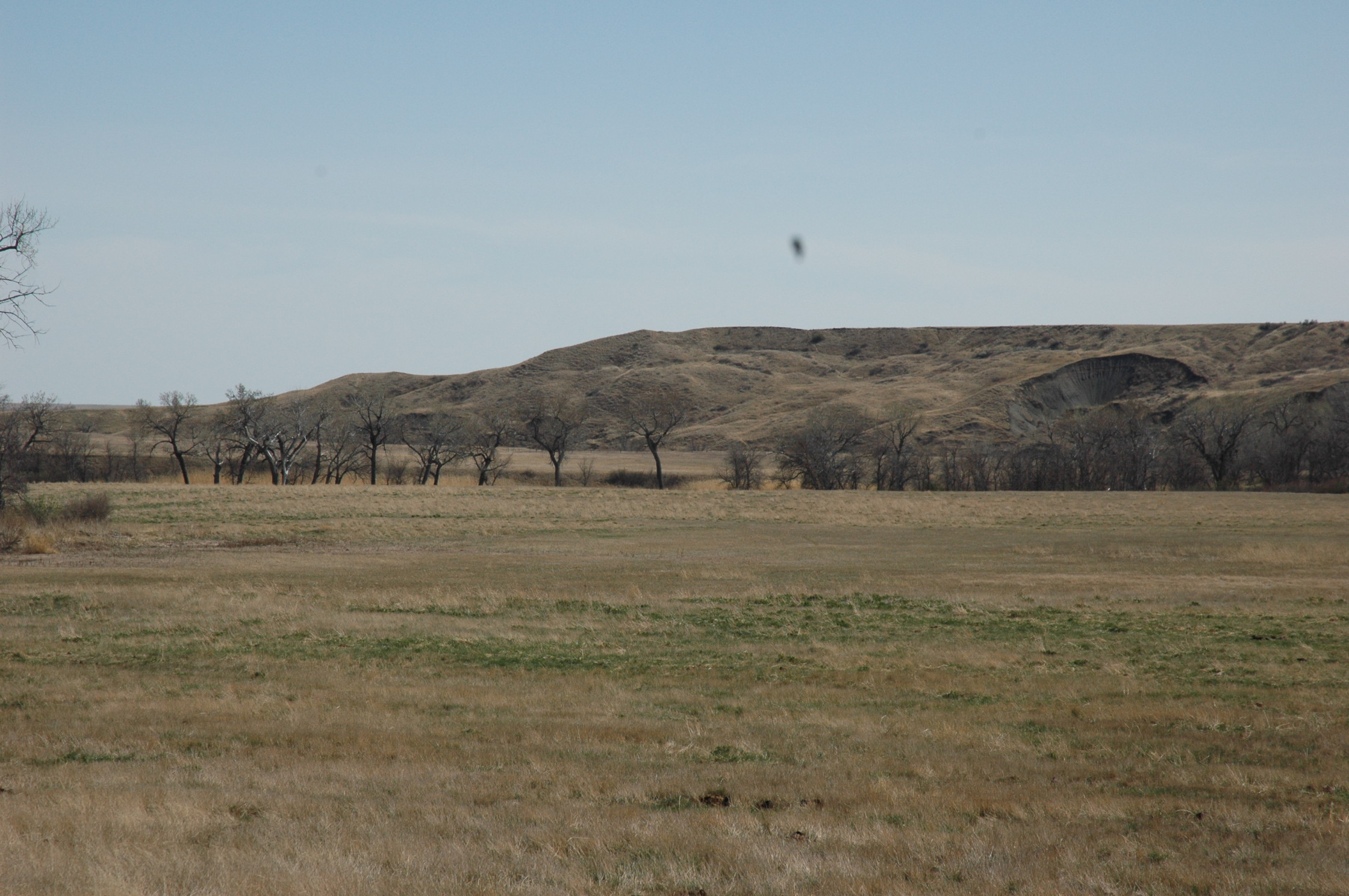 South Dakota Ranch For Sale Sturgis Cattle Pastureland & Grazing