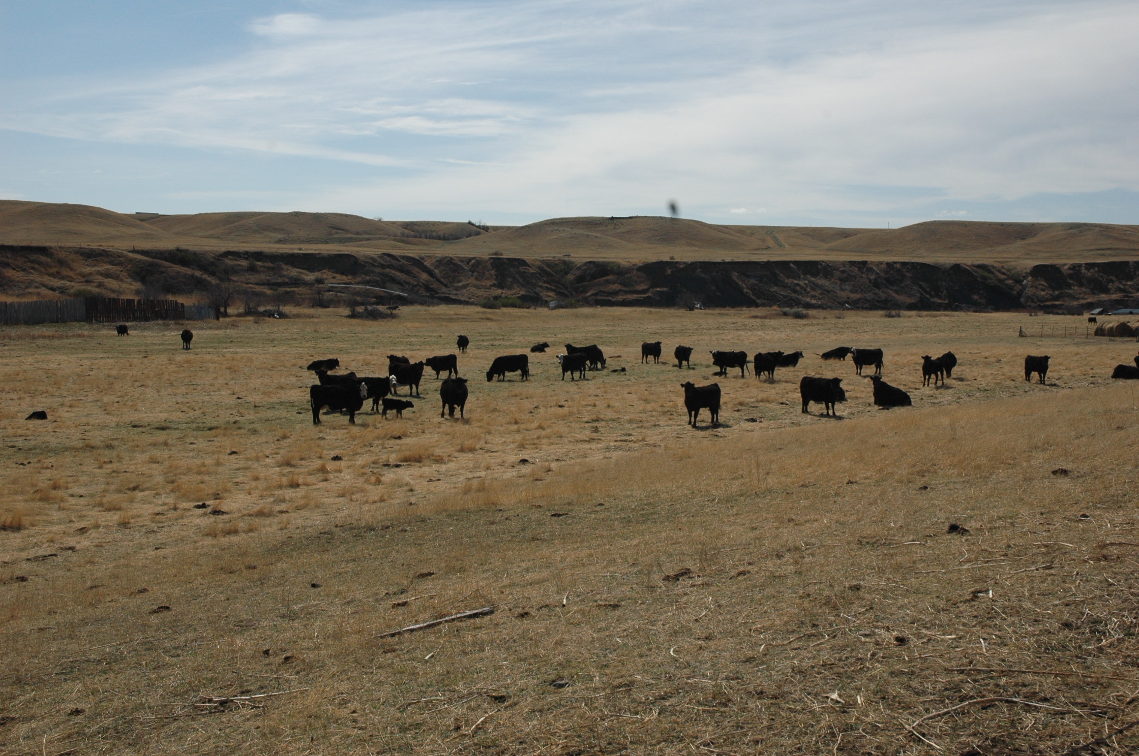 South Dakota Ranch For Sale Sturgis Cattle Pastureland & Grazing