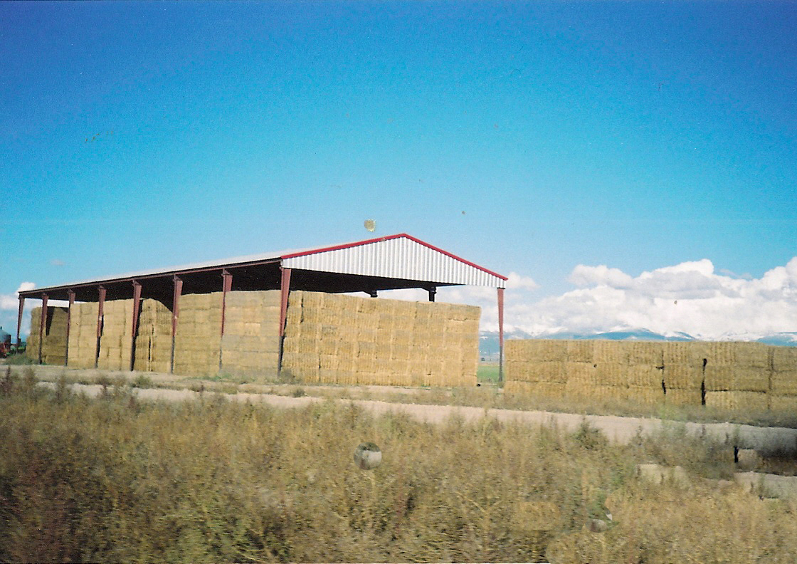 Colorado Irrigated Pivot Farm For Sale San Luis Valley