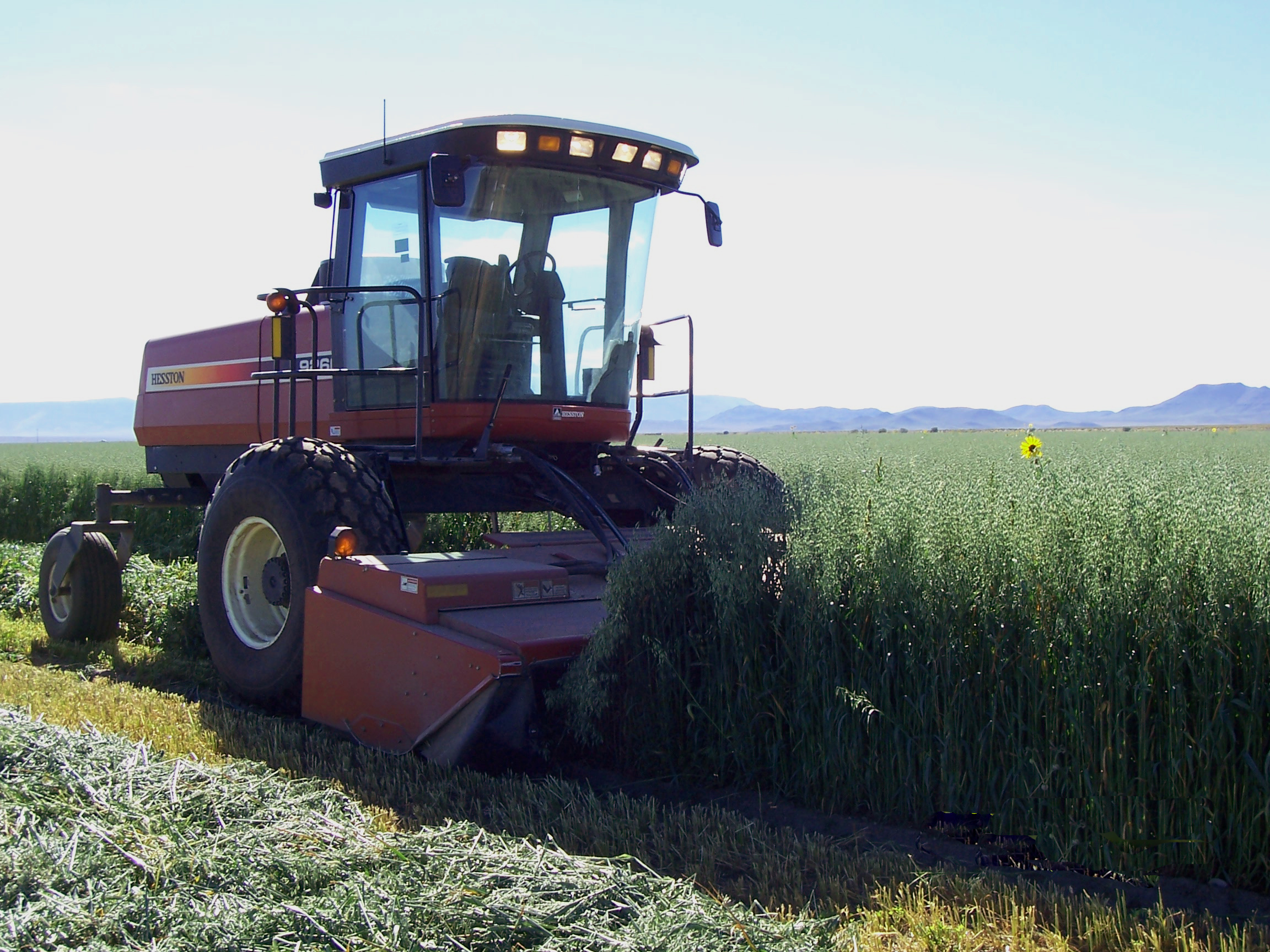 Colorado Irrigated Pivot Farm For Sale San Luis Valley