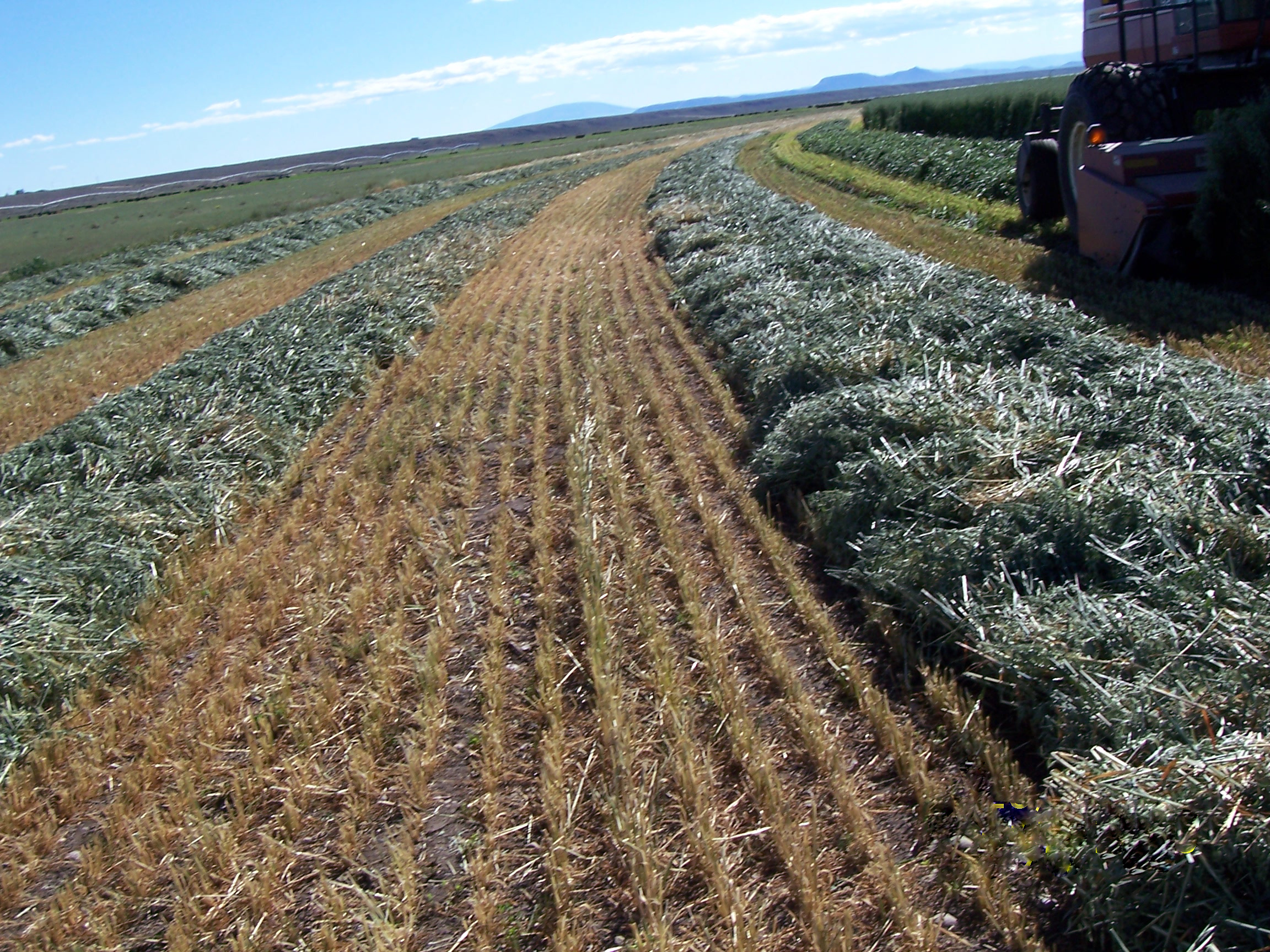 Colorado Irrigated Pivot Farm For Sale San Luis Valley