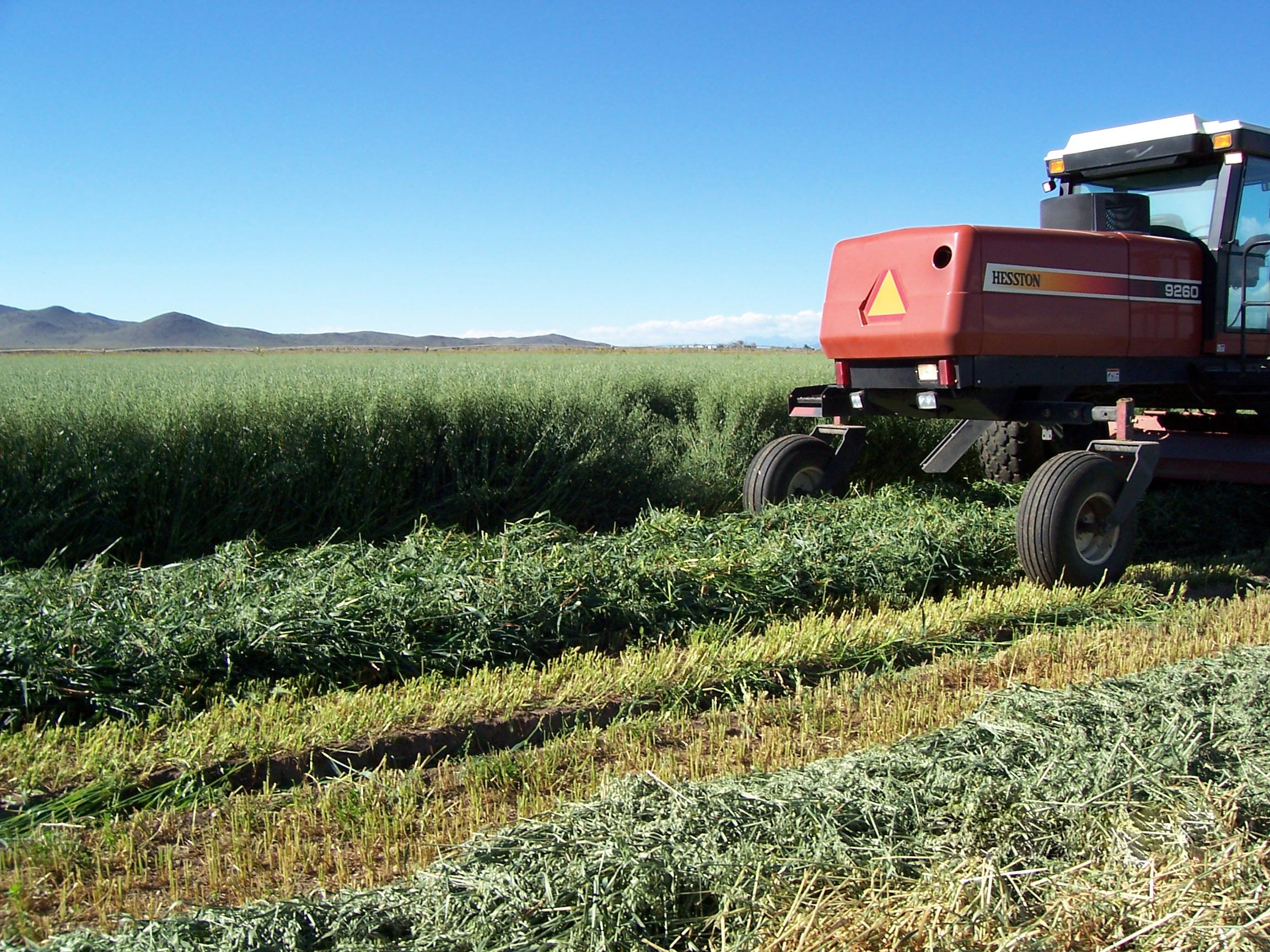 Colorado Irrigated Pivot Farm For Sale San Luis Valley