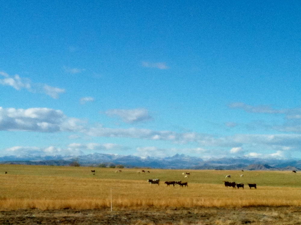 Muddy Creek Farm and Ranch Wyoming farms and ranches for sale