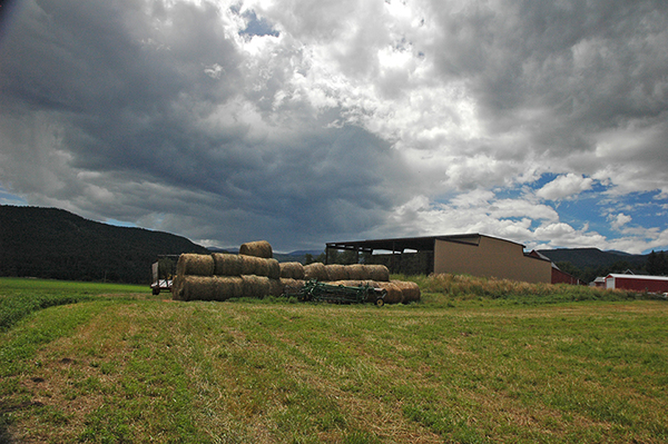 Colorado Equestrian Dream Ranch - SOLD | Beulah, Colorado ...