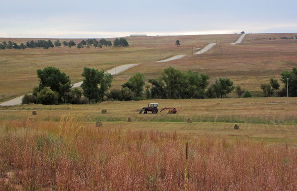 Olson Homestead Ranch