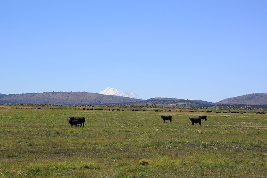 Klamath Falls Oregon Ranch Farms, Ranches, Land for Sale