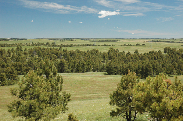 Ranches For Sale In Nebraska Mason Morse Ranch Company