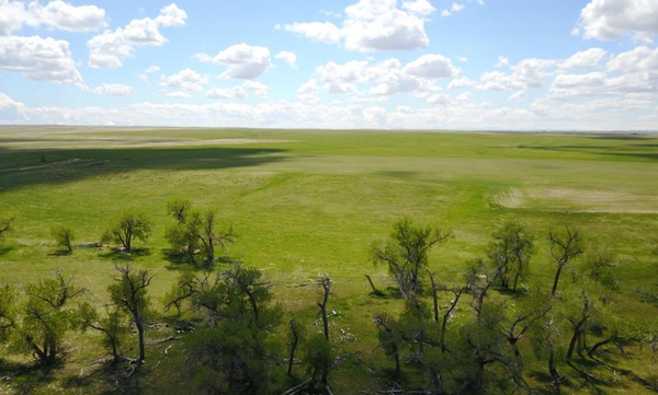 Comanche Creek Ranch