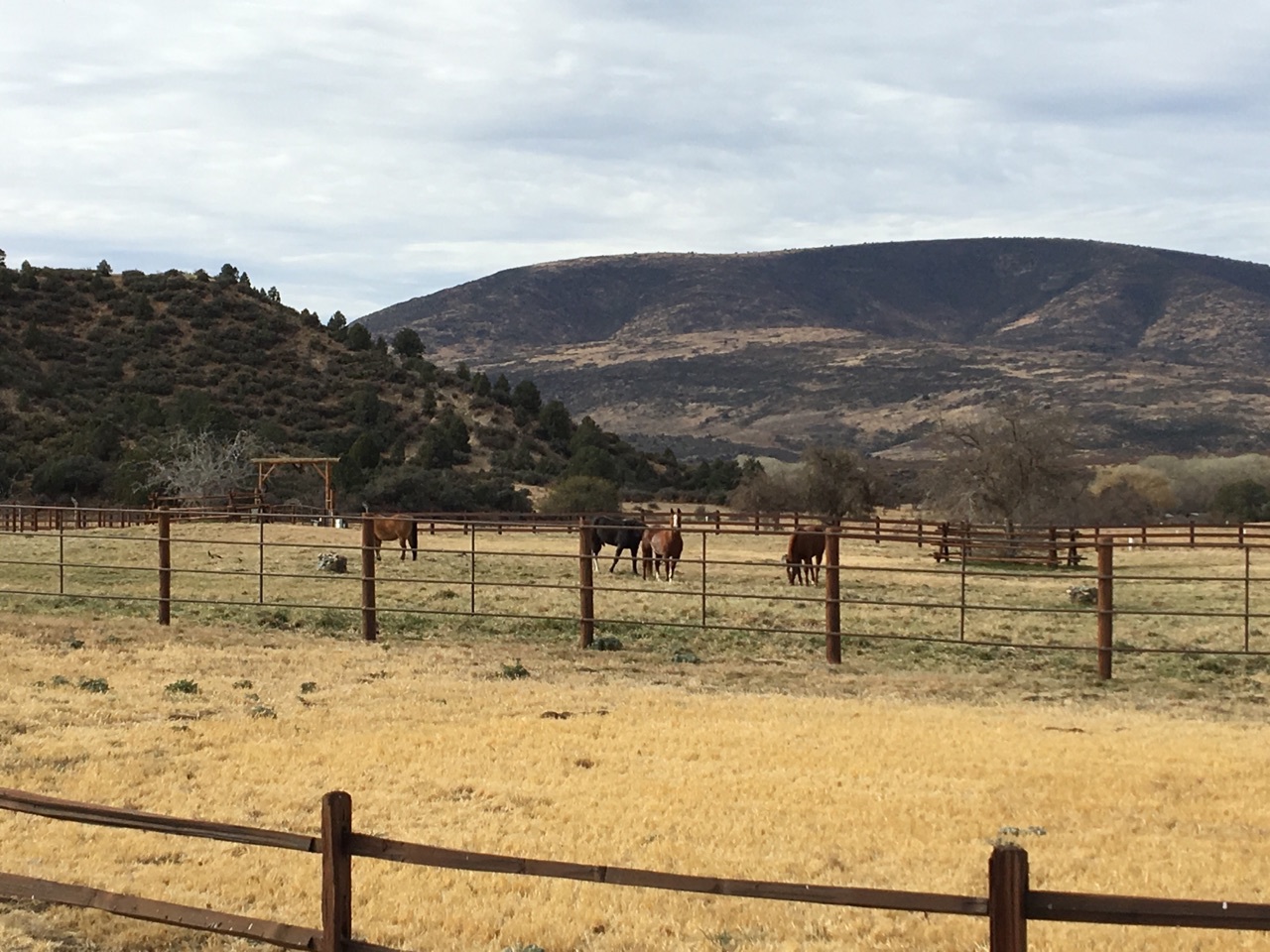 summer creek ranch pool