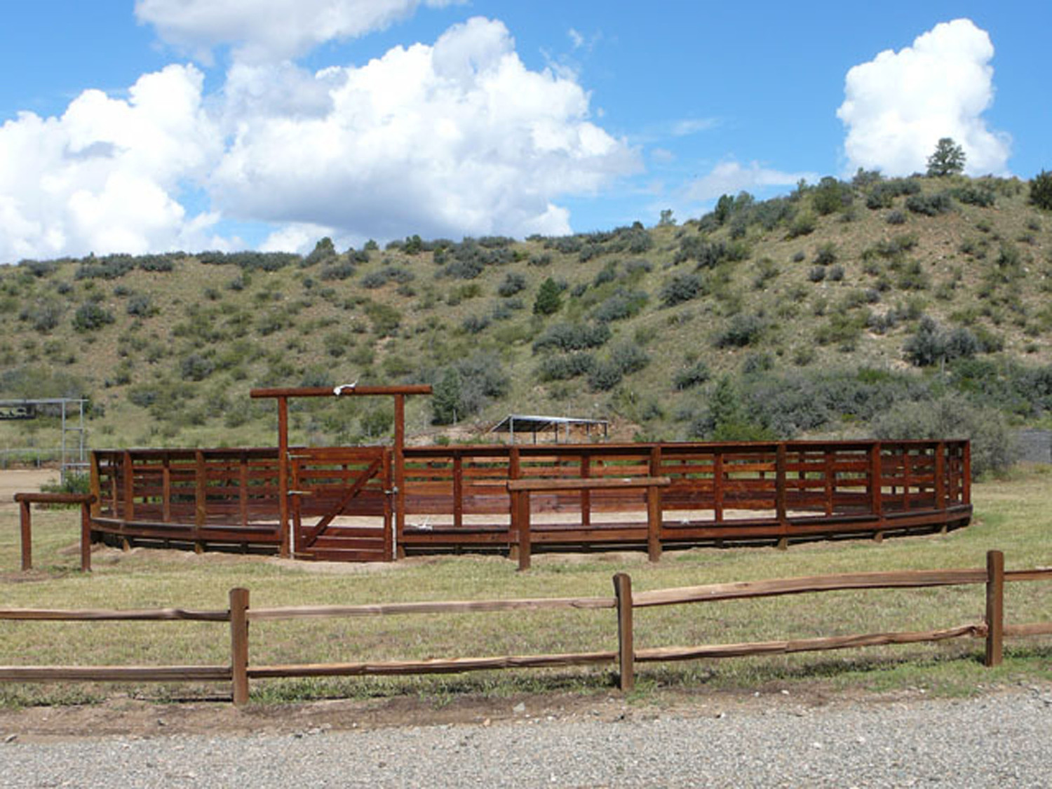 summer creek ranch pool